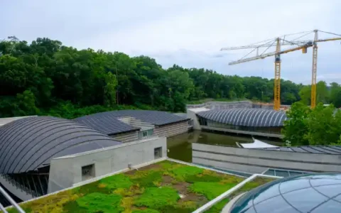 Landscape & Green Integration